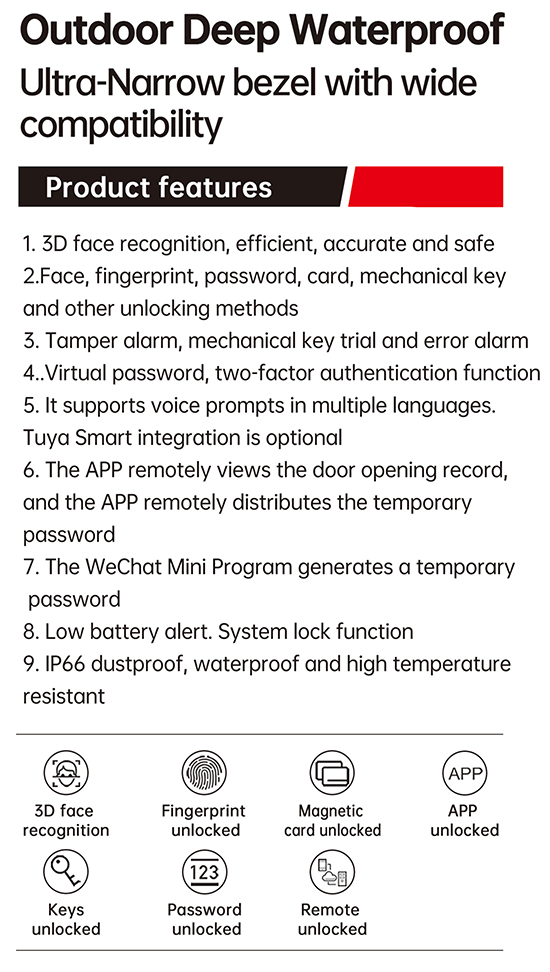 C2-cs.jpg