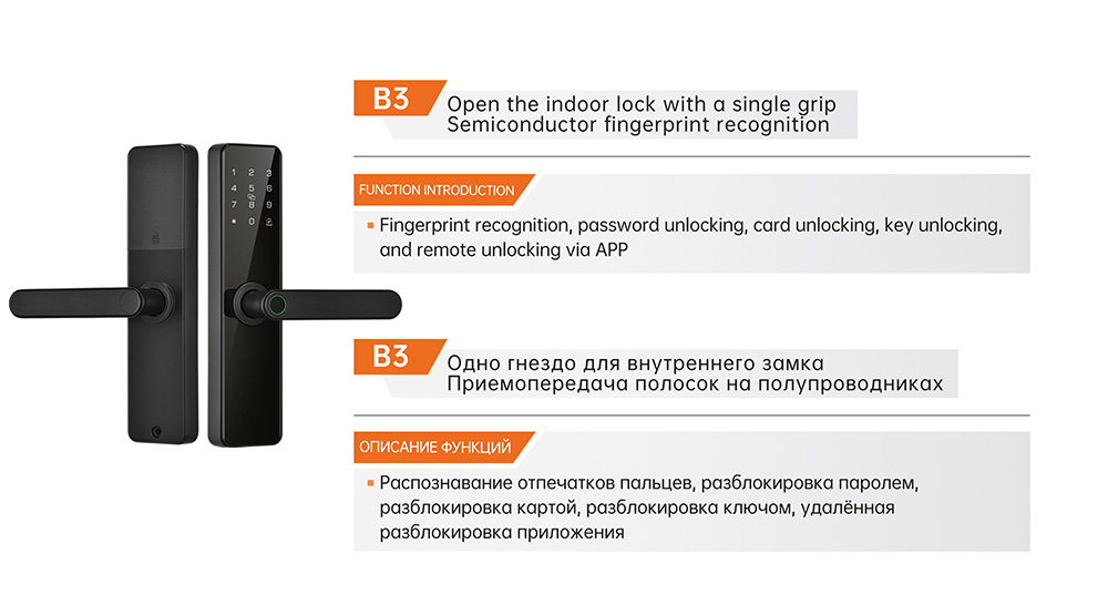 B3.jpg