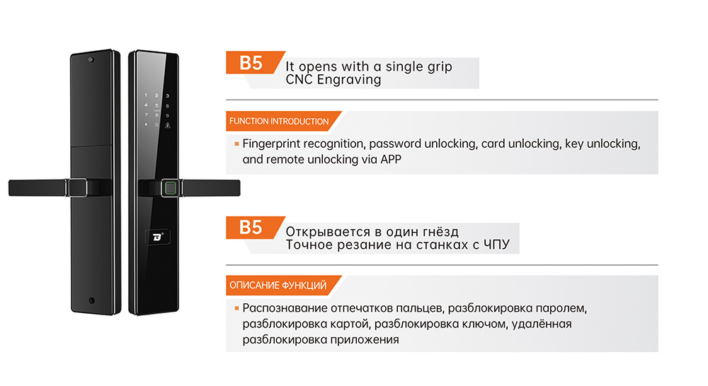 B5.jpg